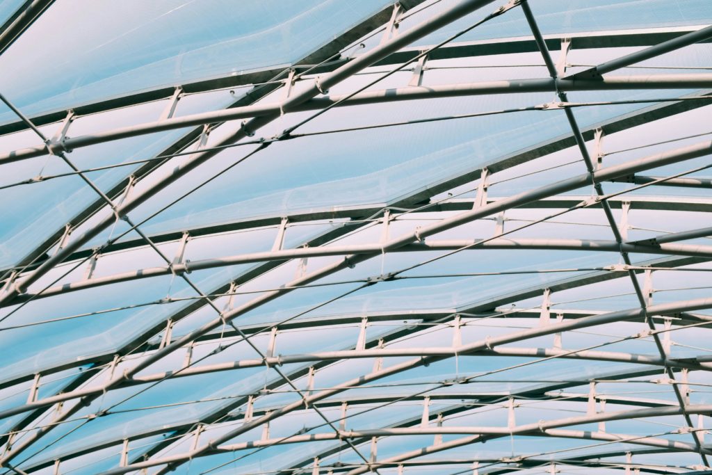 blood vessels network modern interior aesthetic professional photography.png