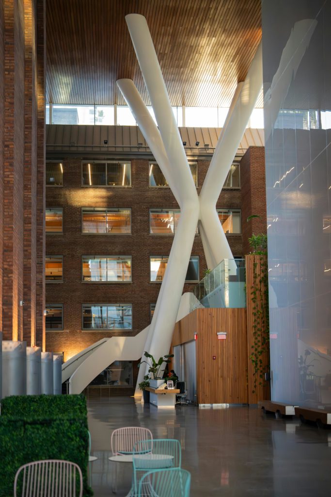 aortic aneurysm modern interior aesthetic professional photography.png