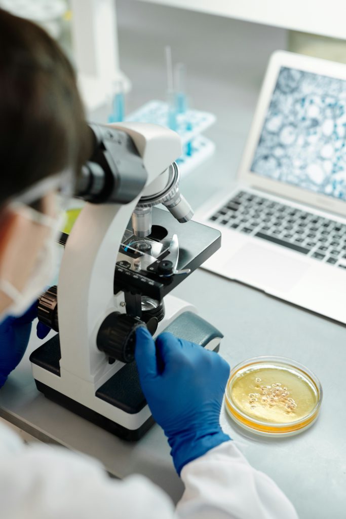 cervical cells microscope view modern interior aesthetic professional photography.jpg