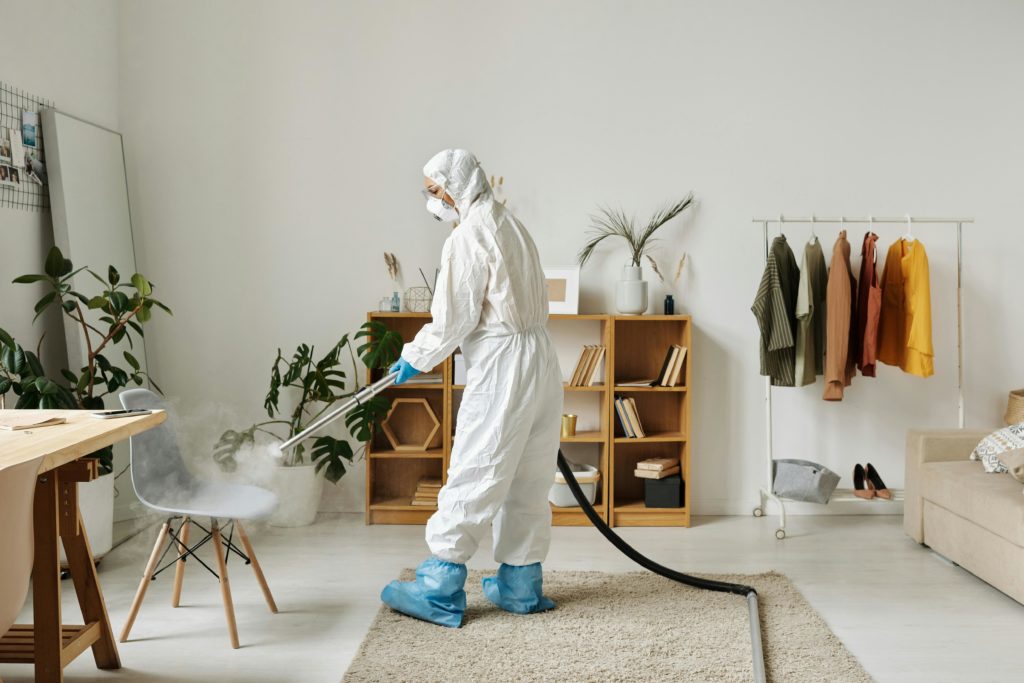 coronavirus variant modern interior aesthetic professional photography.jpg