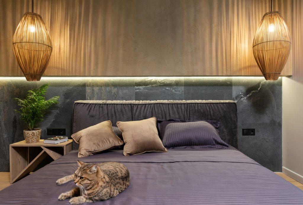 cat allergy symptoms modern interior aesthetic professional photography.png