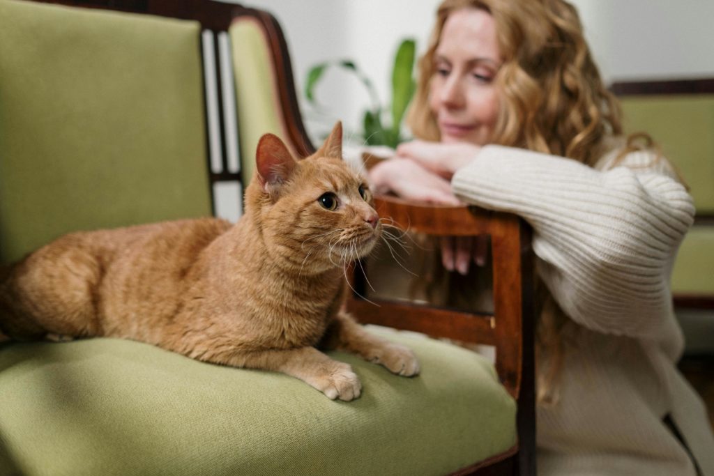 cat owner immunotherapy modern interior aesthetic professional photography.png