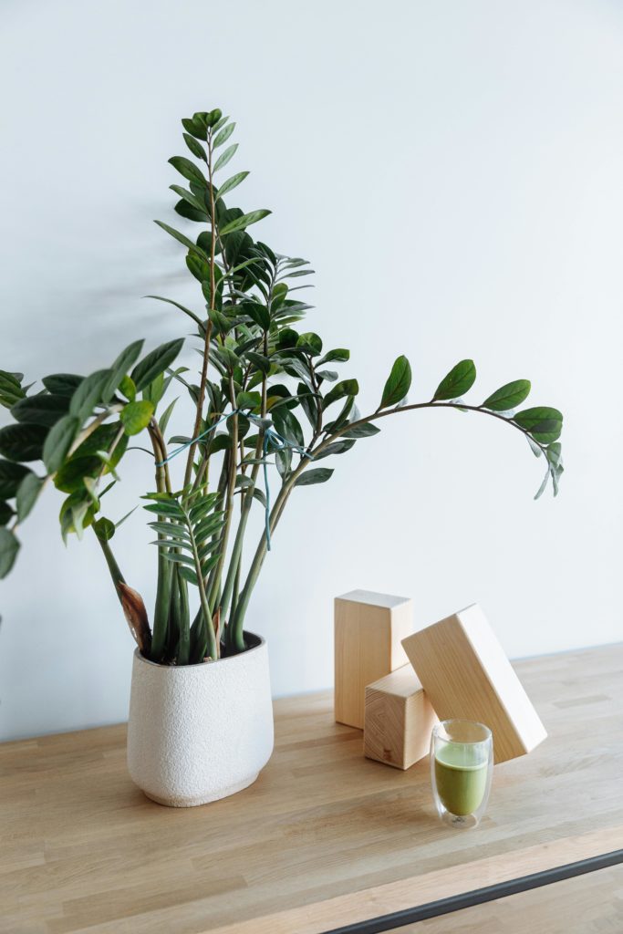 healthy lifestyle modern interior aesthetic professional photography.png